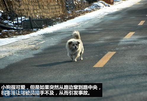 山路驾驶的注意事项